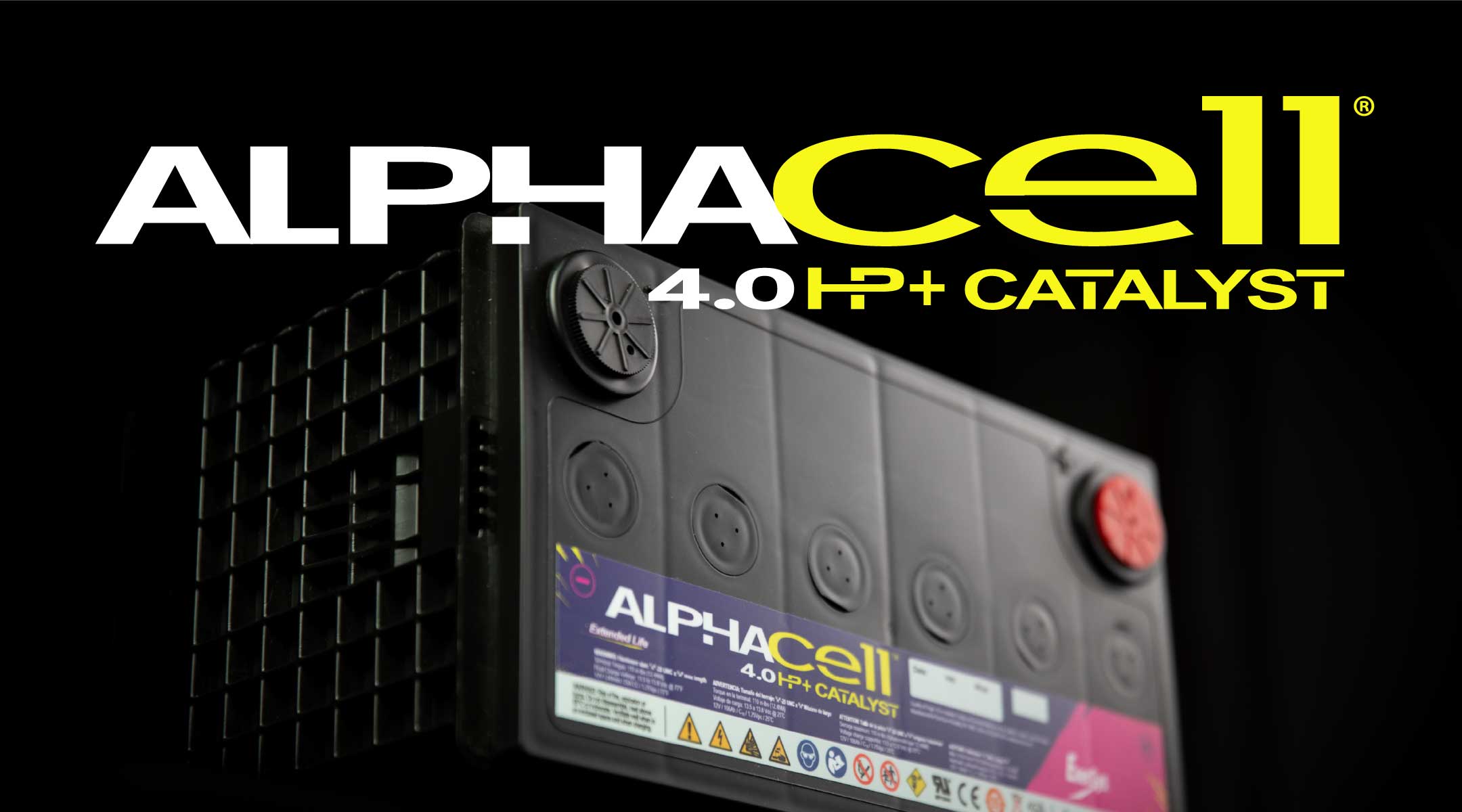 AlphaCell-Catalyst-blog-2.jpg